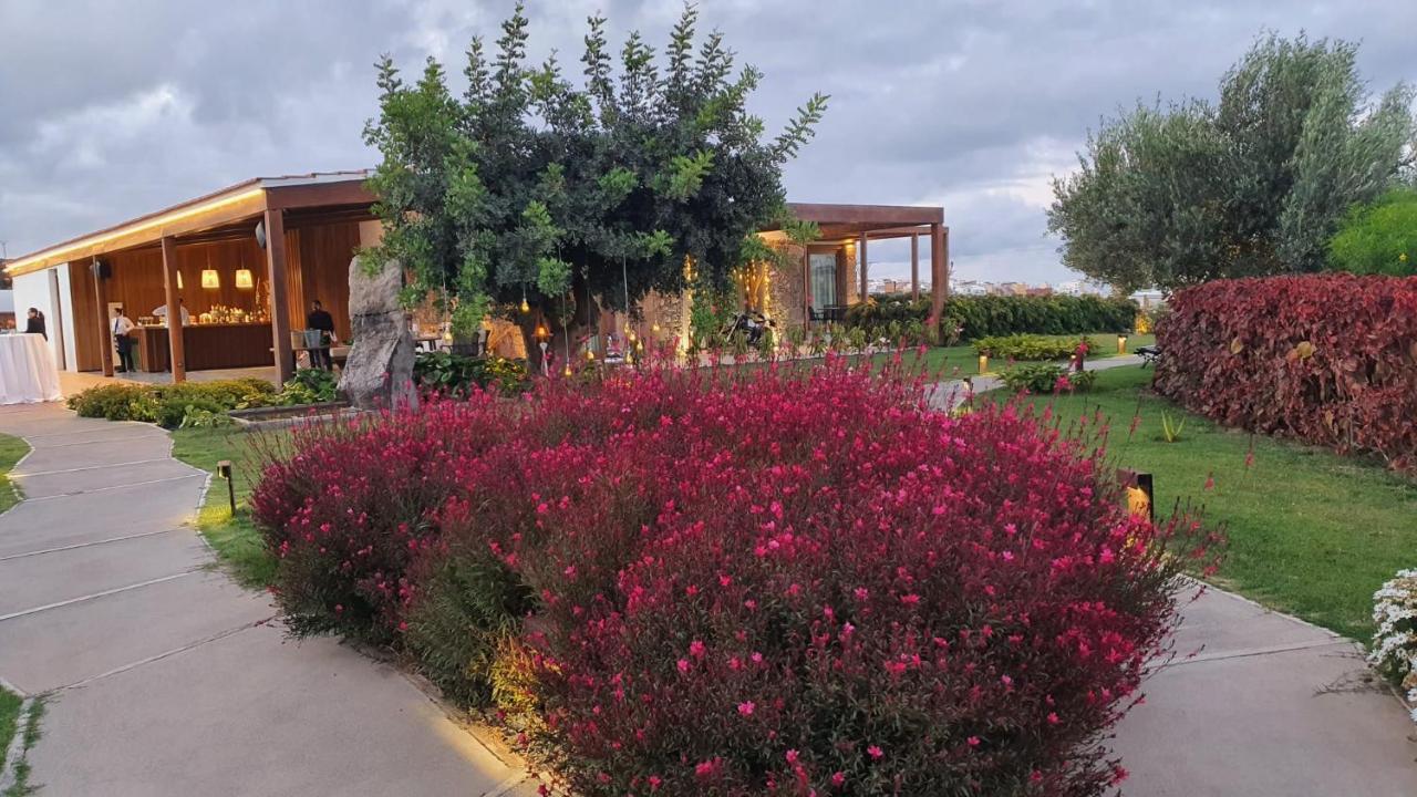 Country house La Suerte Grande Telde